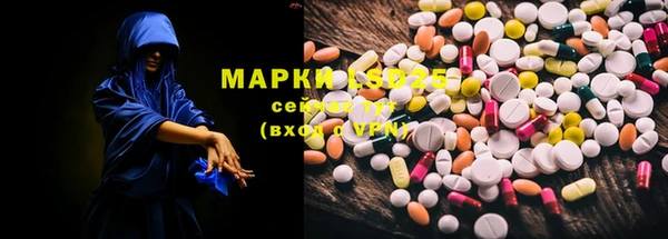 спайс Бородино