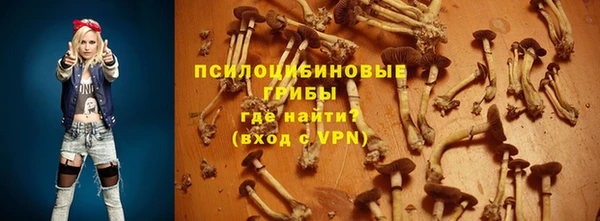 спиды Бронницы