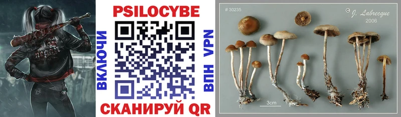Купить  Краснокамск  Галлюциногенные грибы ЛСД 